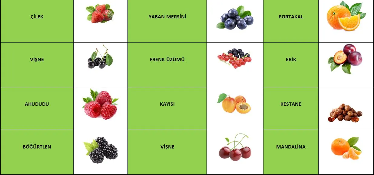 Konservləşdirilmiş meyvələr